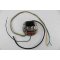 Zündung Lichtmaschine 6 Volt 15/5/3 Watt für Sachs Zündapp Kreidler Puch