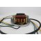 Zündung Lichtmaschine 6 Volt 15/5/3 Watt für Sachs Zündapp Kreidler Puch