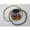 Zündung Lichtmaschine 6 Volt KLEIN 80mm für Sachs Zündapp Kreidler ILO